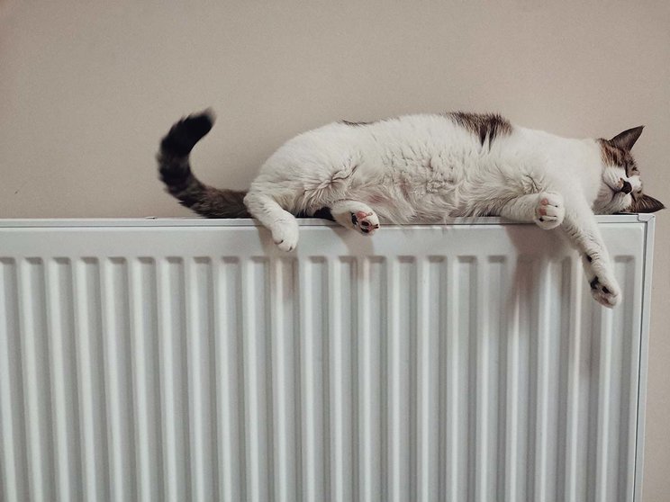 5 consejos para calentar tu casa sin usar calefacción. Foto Unsplash