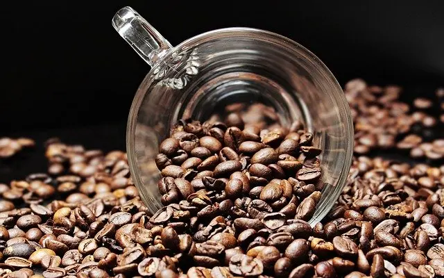 coffee-beans-2258839_640