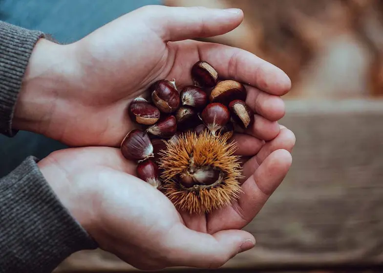 unsplash castañas asadas