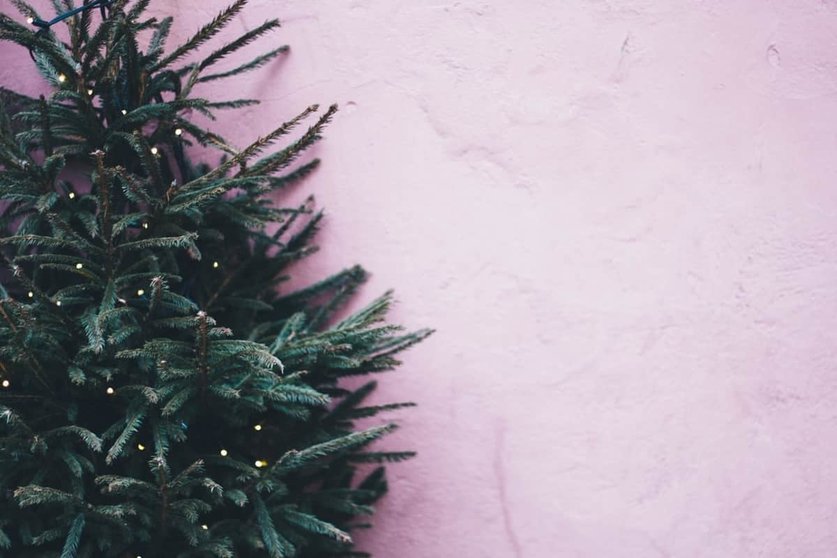 5 ideas sencillas para decorar tu árbol de Navidad Black Friday Foto: Pexels