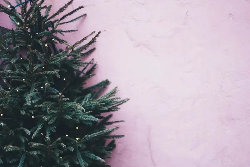 5 ideas sencillas para decorar tu árbol de Navidad Black Friday Foto: Pexels