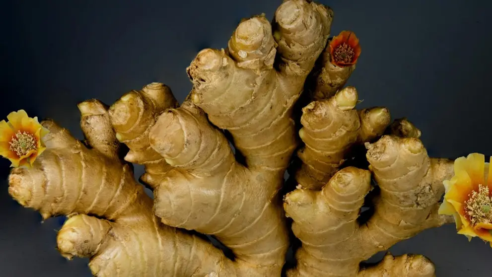 &iquest;Qu&eacute; propiedades del jengibre son buenas para la salud? Beneficios y c&oacute;mo tomarlo.