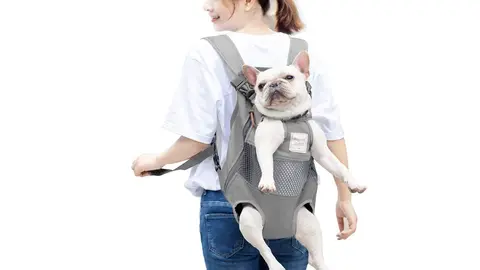 Los mejores accesorios para tu mascota este verano