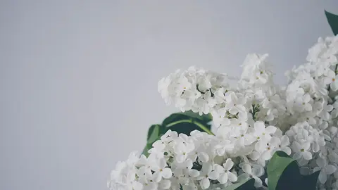 Feng-Shui en casa: todo lo necesitas saber sobre tu paz interior. Foto Unsplash.