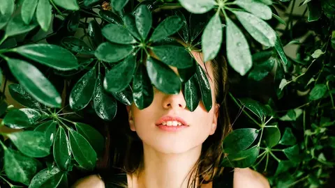 ¿Qué hago con mis plantas en vacaciones? 3 sistemas de riego sencillos