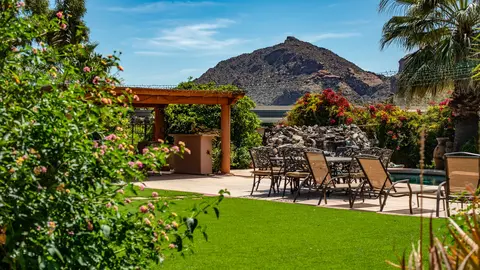 pexels-derwin-edwards-2101086