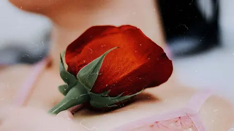 Copa menstrual: ¿la mejor alternativa a tampones y compresas?. Foto Unsplash