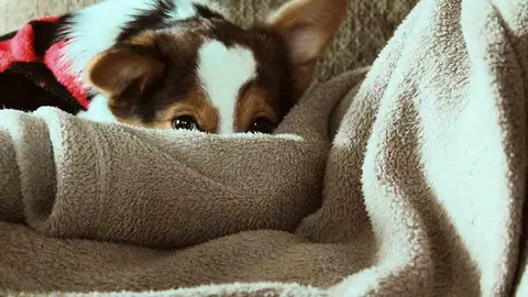 Mantas para el sofá ¡Elige la más cálida y cómoda para este otoño 2020! Foto Unsplash