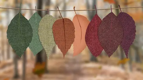 Rituales equinoccio otoño 2020 ¡10 formas de celebrarlo por todo lo alto! Foto: Pexels