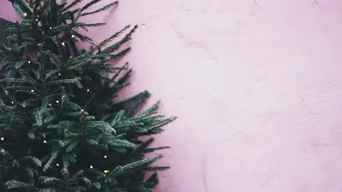 5 ideas sencillas para decorar tu árbol de Navidad Black Friday Foto: Pexels