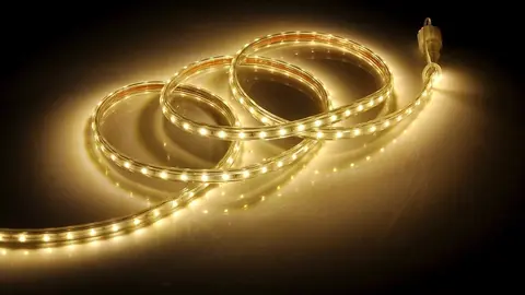 Webp.net-resizeimage (33)