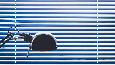 Descubre cómo limpiar persianas y dejarlas como nuevas Foto: Pexels