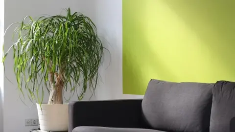 <p> ¿Comprar un sofá chaise longue o no? Ventajas e inconvenientes </p>