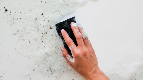 ¿Cómo se elimina el moho de las paredes? 9 Trucos y recomendaciones para evitarlo