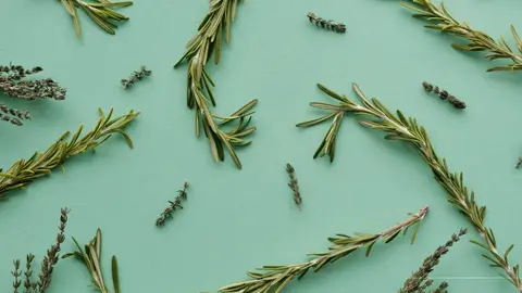 ¿Para qué es bueno el romero? Propiedades y beneficios que debes conocer