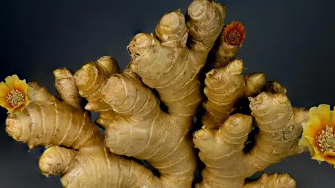 &iquest;Qu&eacute; propiedades del jengibre son buenas para la salud? Beneficios y c&oacute;mo tomarlo.