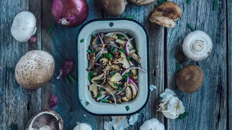 Recetas de setas en otoño ¡Fáciles, sencillas y para toda la familia!. Foto Unsplash