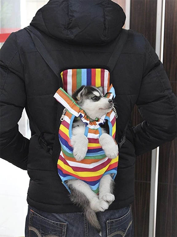 Mejores accesorios para tu mascota este verano: botella de agua para perros: Bolso para Perros y Gatos