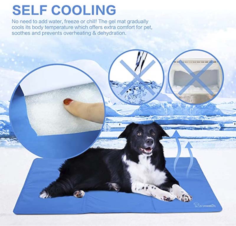 Los mejores accesorios para tu mascota este verano_ alfombrilla para perro