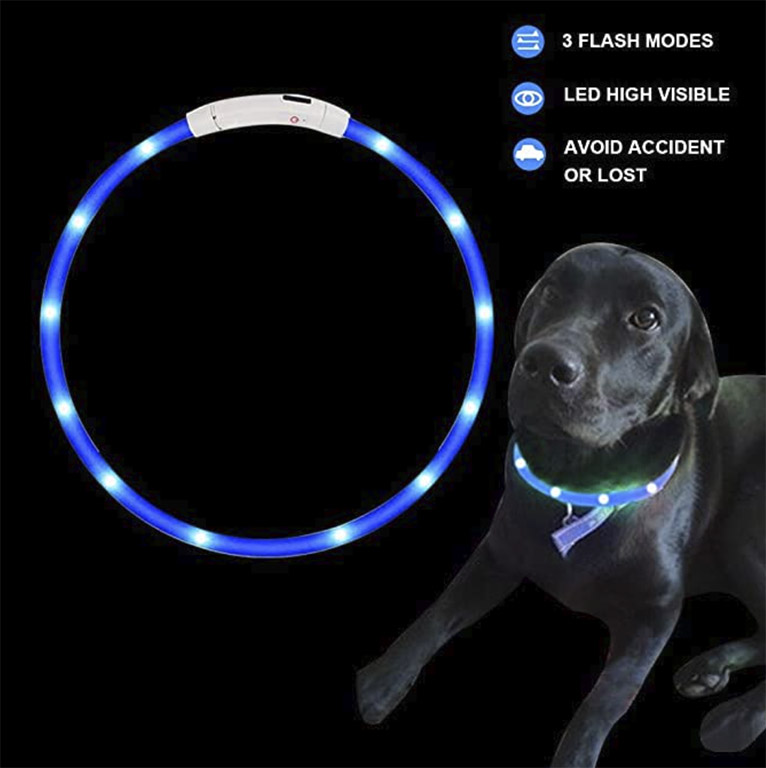 Los mejores accesorios para tu mascota este verano_perro led