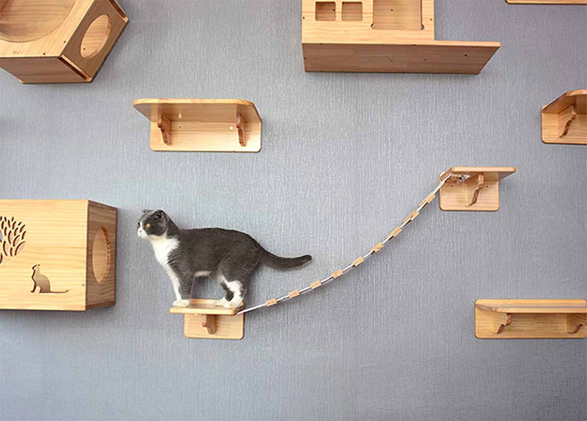 ideas para hacer más feliz a tu gato en casa: arbol de madera para gatos
