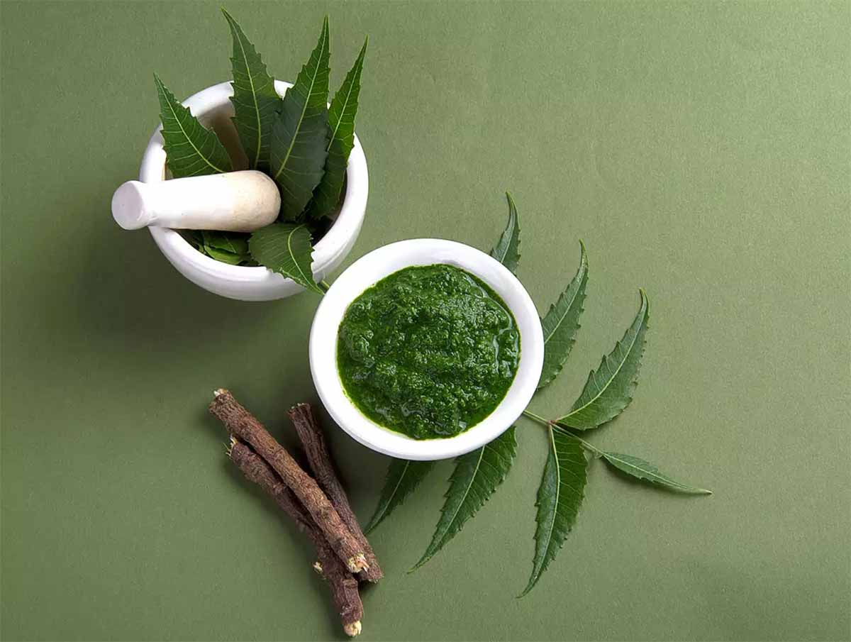 Remedios naturales para las plagas de hormigas: neem