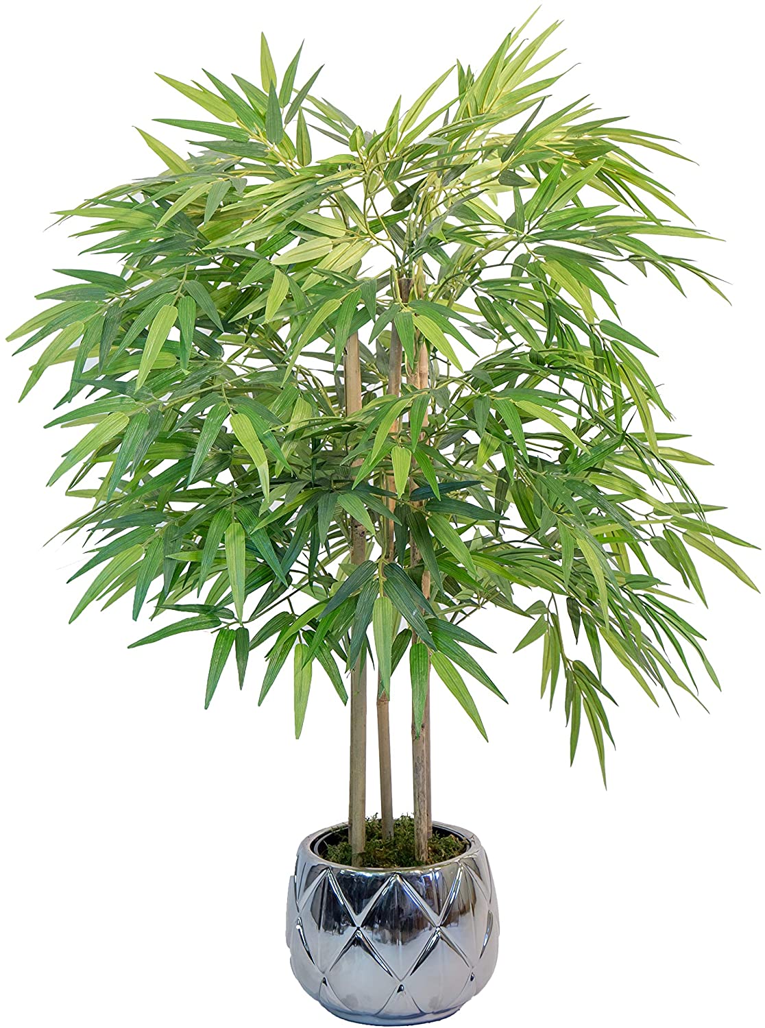 bambu