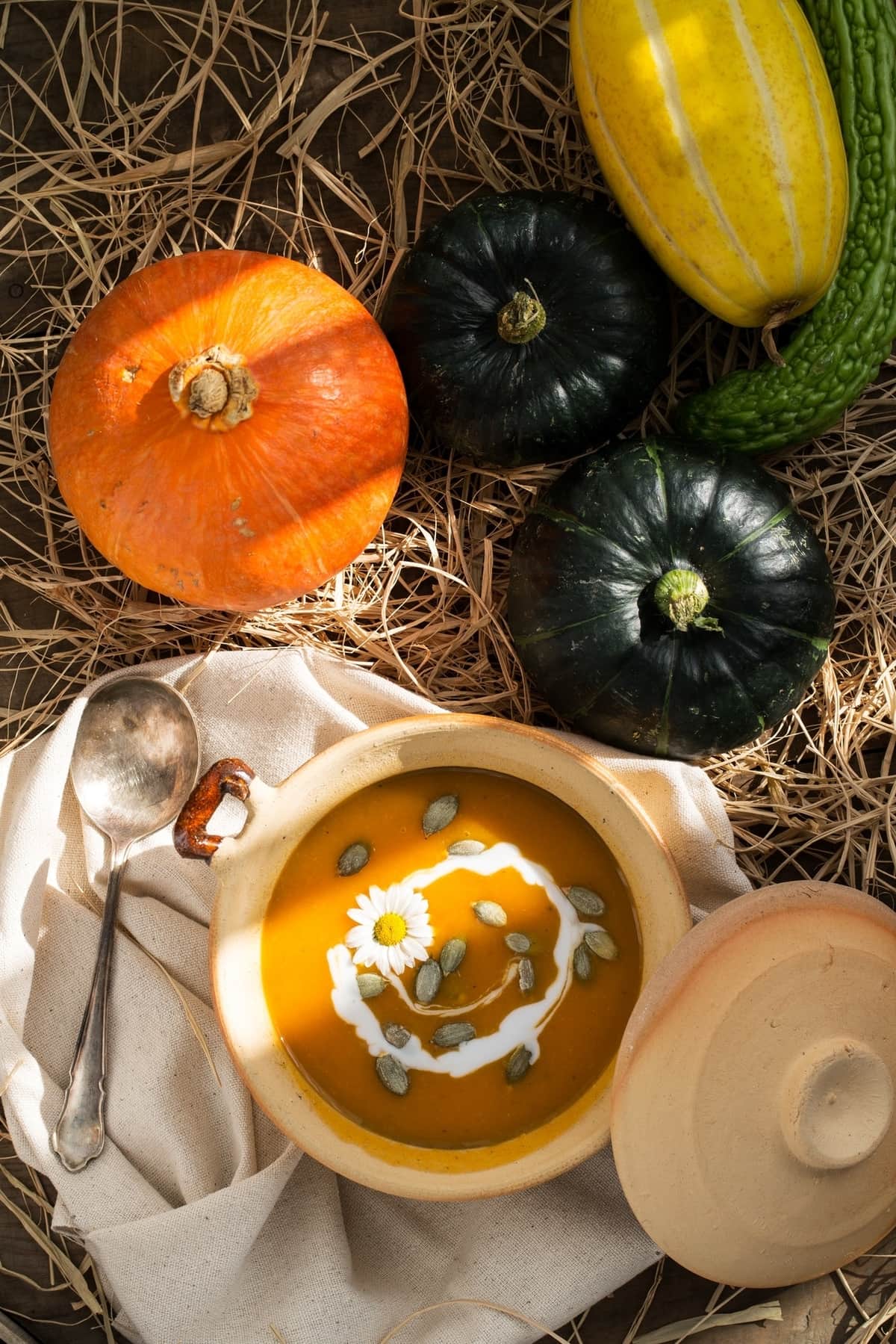¿Qué comer en otoño? consejos para preparar tu cuerpo para el frío Foto. Pexels