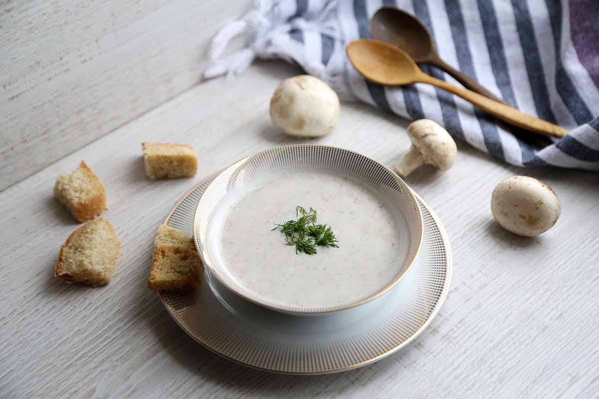 Receta crema de setas otoño