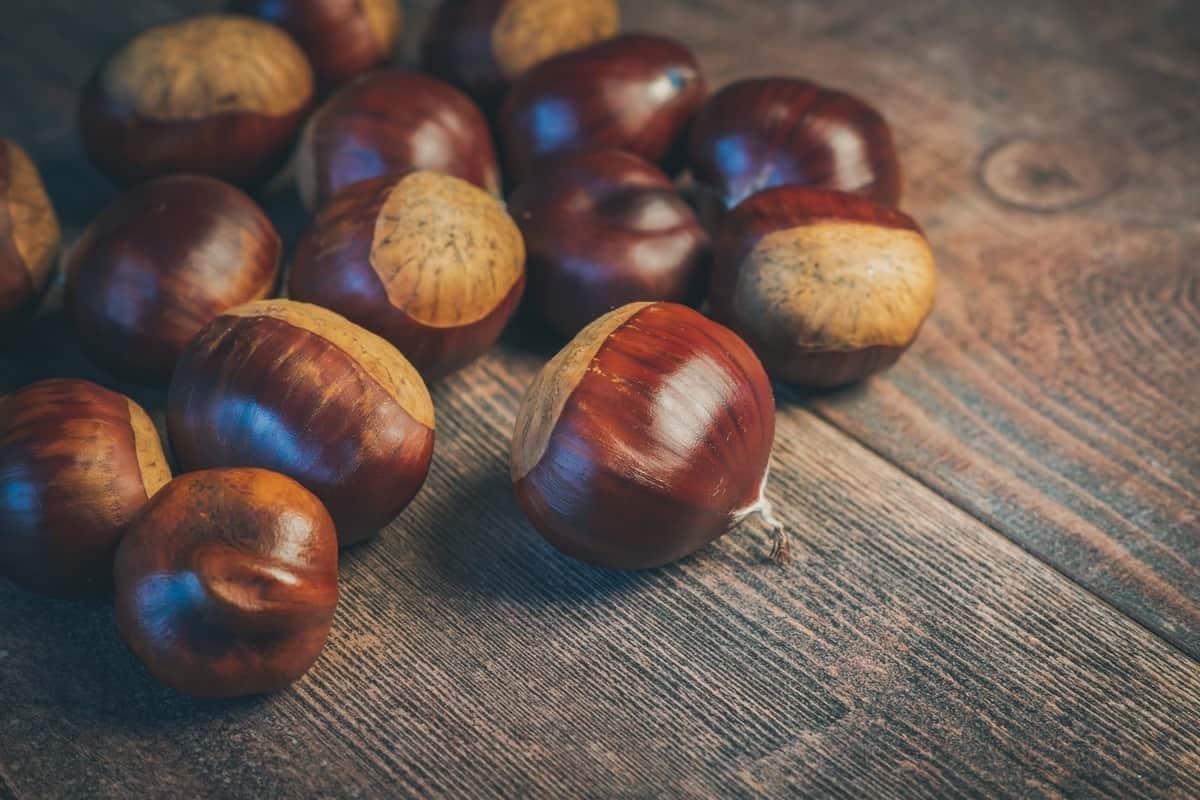 Puente de octubre: recetas otoño para hacer en casa Foto: Pexels