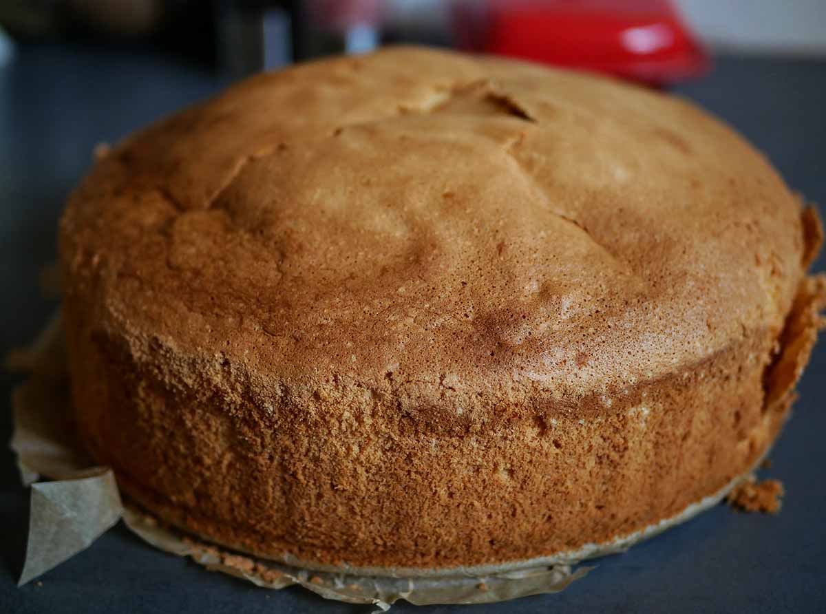 bizcocho de castaña pixabay