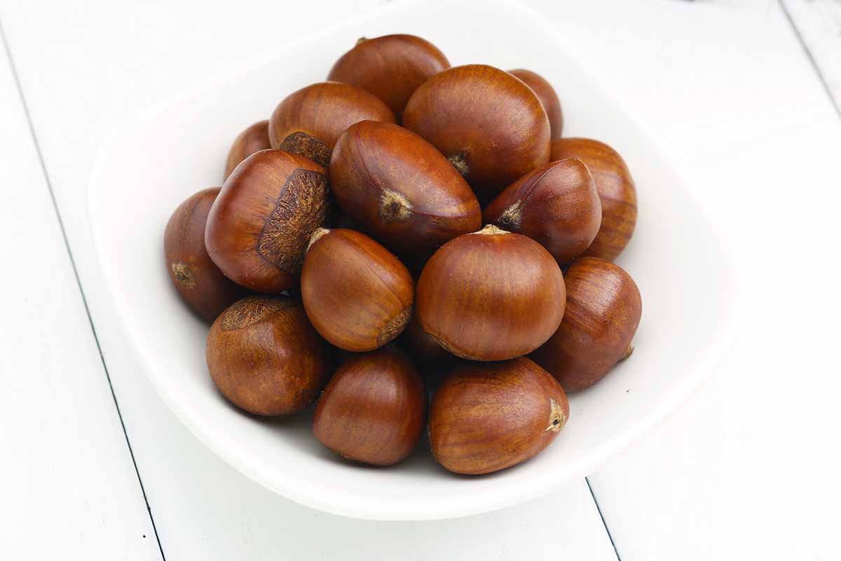 3 recetas castañas pilongas