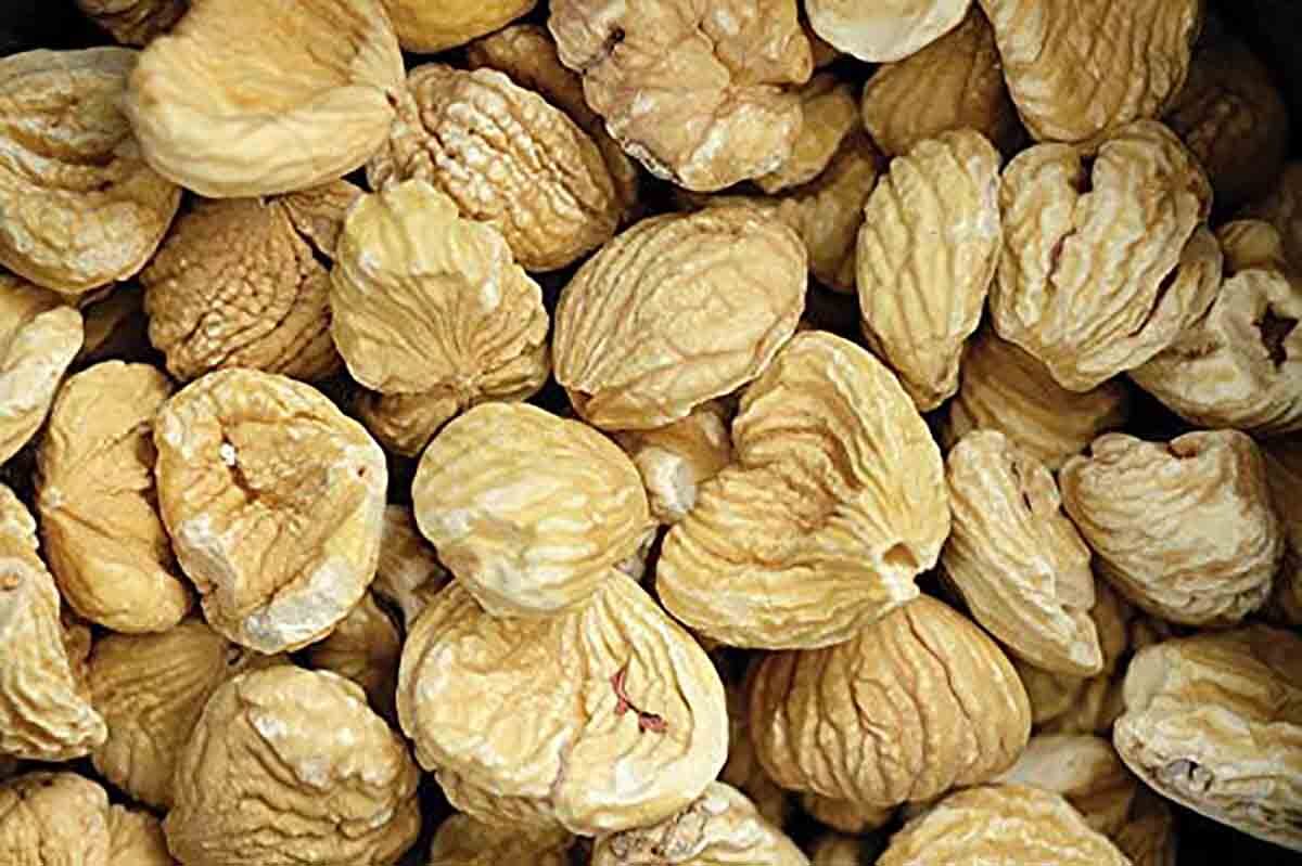 recetas castañas pilongas