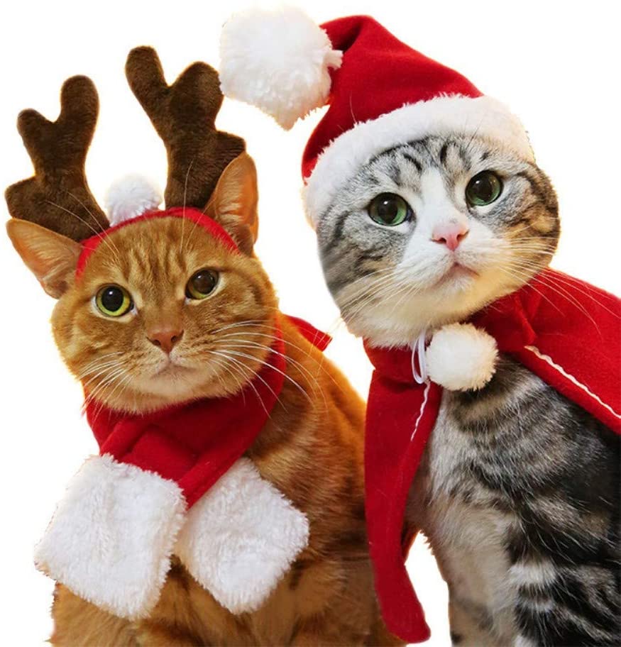 Disfraz de reno y Papá Noel para gatos