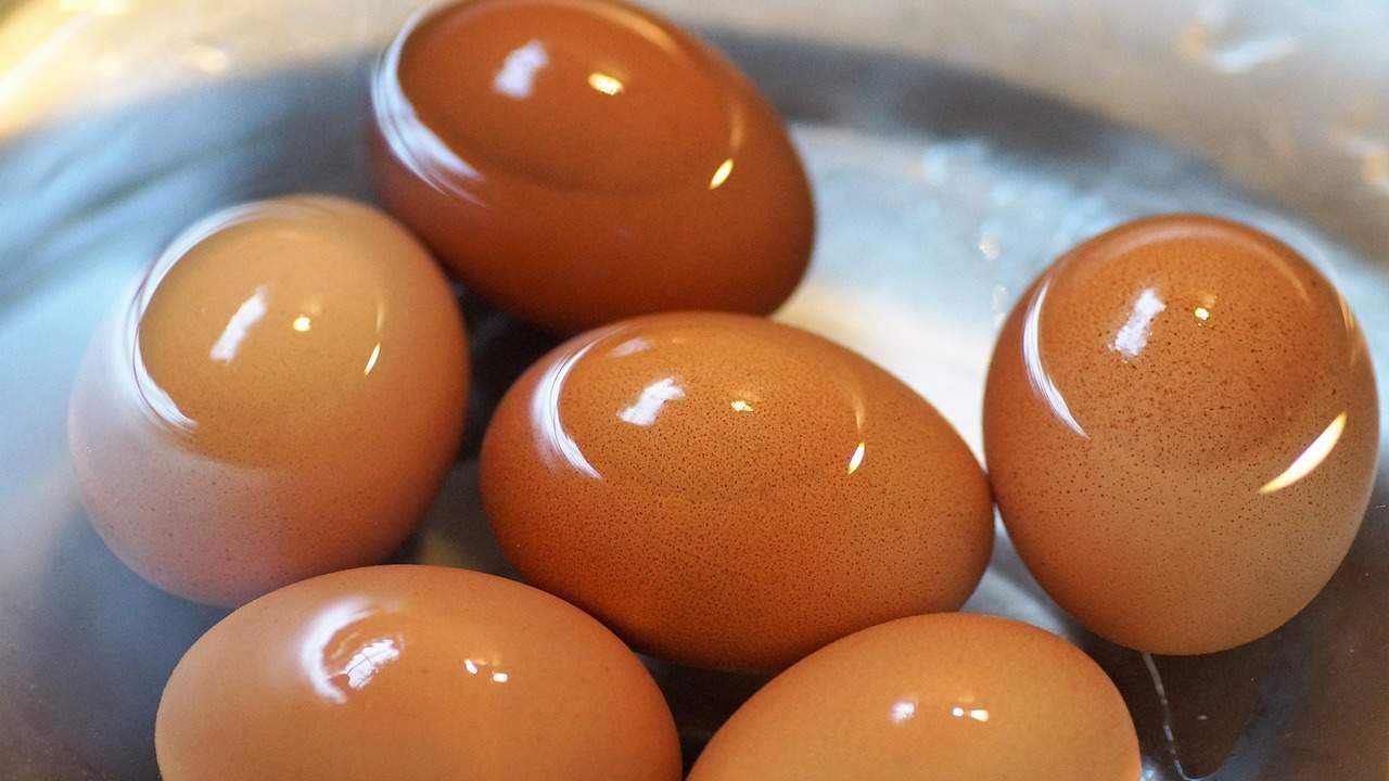 Huevos en agua